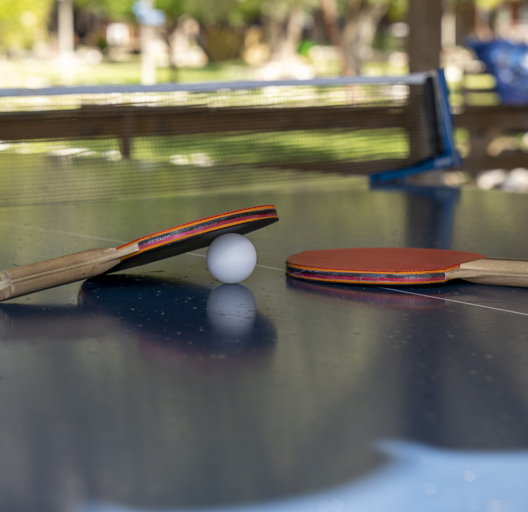 Liberty Lykia Table Tennis