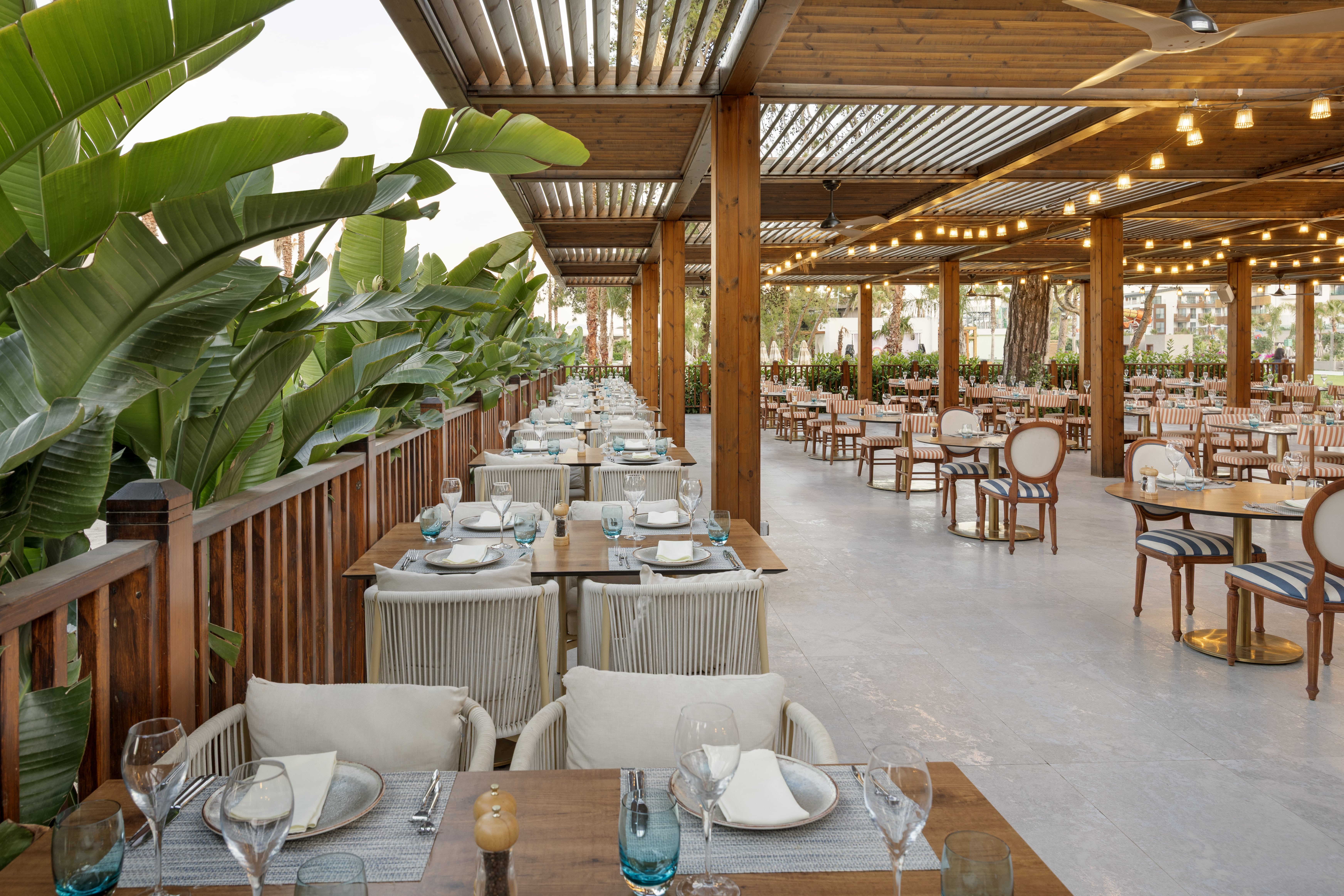 Okeanos - Liberty Signa