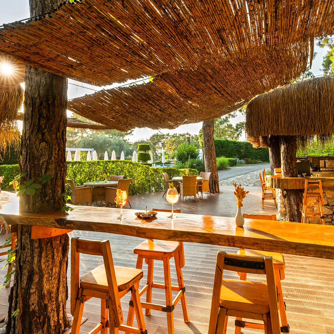 Tlos Bar