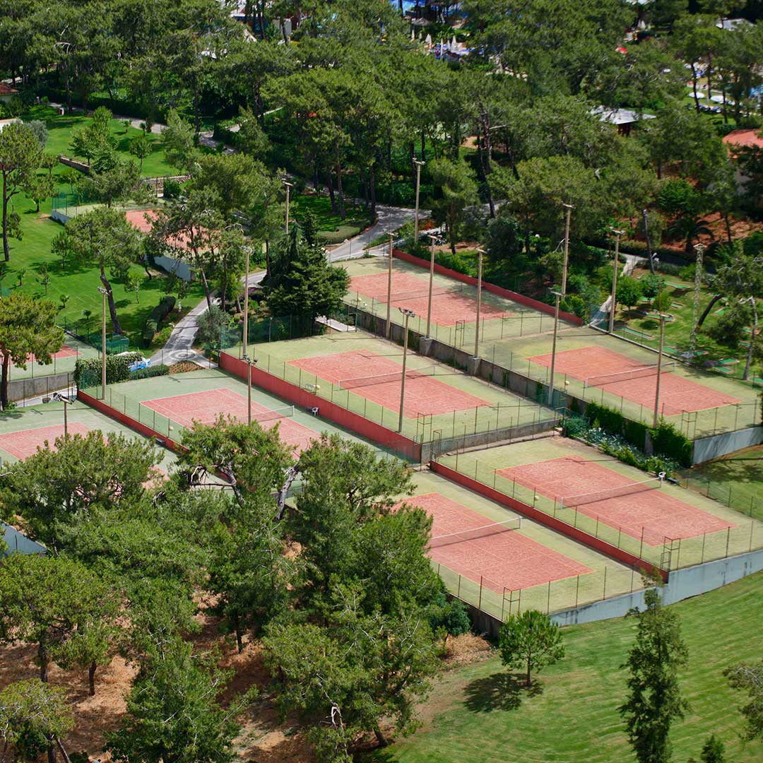 Tenis & Padel